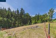 Sanierter Bauernhof in ruhiger Naturlage mit rund 3.200 m² Grund, Obstgarten und Tierhaltung