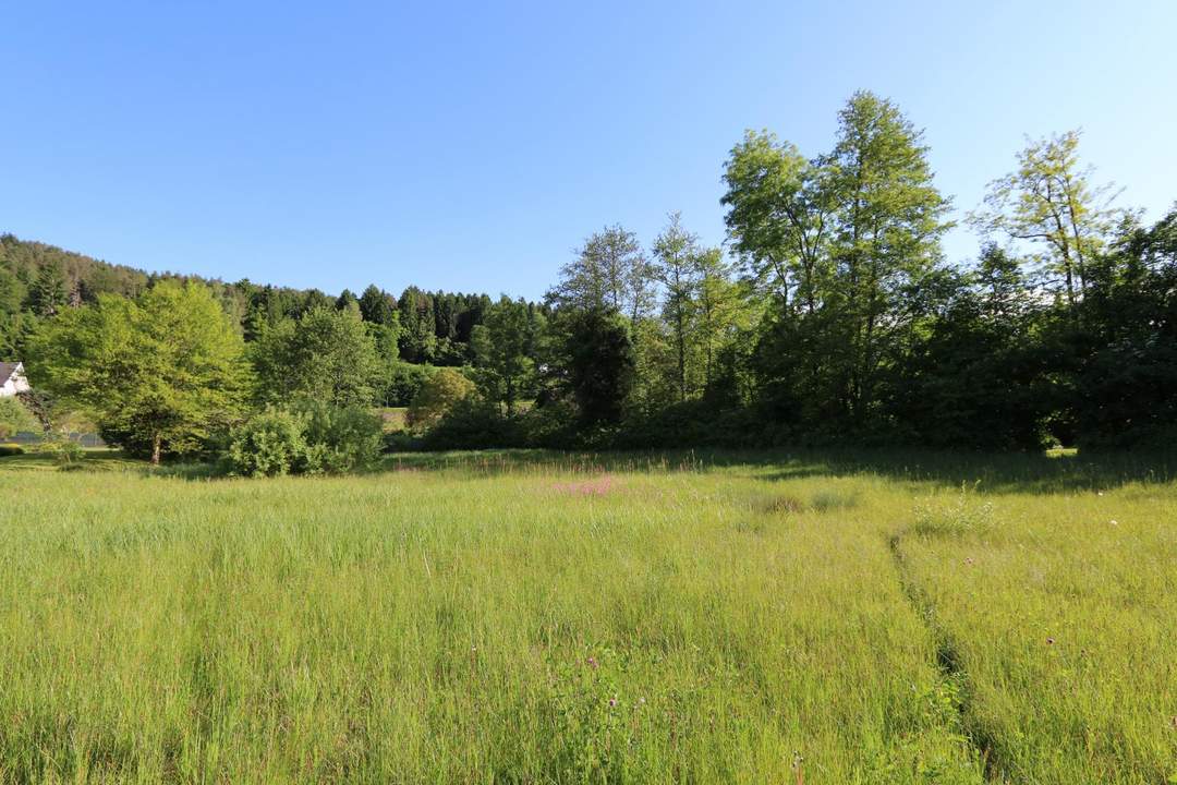 Baugrundstück mit See-Nähe und vielseitigen Nutzungsmöglichkeiten