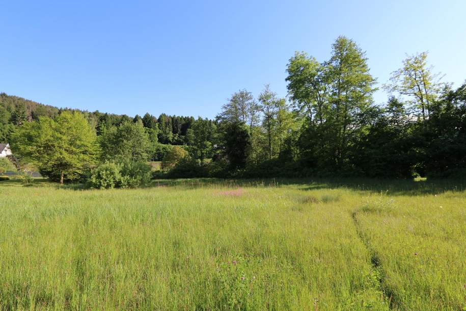 Baugrundstück mit See-Nähe und vielseitigen Nutzungsmöglichkeiten, Grund und Boden-kauf, 487.000,€, 9081 Klagenfurt Land