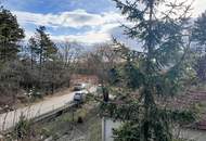 Traumgrund neben dem Wald mit sanierungsbedürftigem Althausbestand