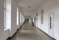 Helle 2,5-Zimmer-Wohnung mit viel Platz in der Zeileisstraße – offene Wohnküche &amp; Ablöse möglich