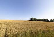 Landwirtschaftliche Fläche - Acker