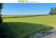 Exklusives Baugrundstück mit traumhafter Aussicht in Leonding/Berg