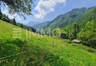 Lage! Lage! Lage! Berge, Wälder, Wiesen zum genießen!