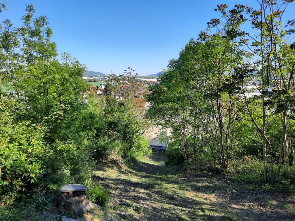 Natur vor der Haustür – Grundstück mit Weitblick und Grünlandanschluss