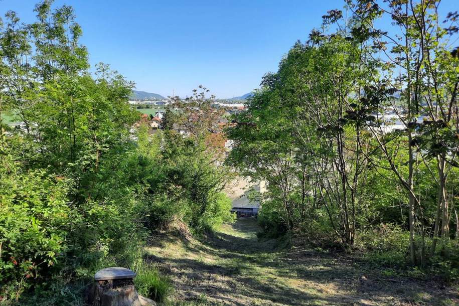 Natur vor der Haustür – Grundstück mit Weitblick und Grünlandanschluss, Grund und Boden-kauf, 850.000,€, 2100 Korneuburg