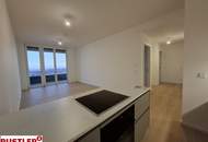 Sundowner über den Dächern!