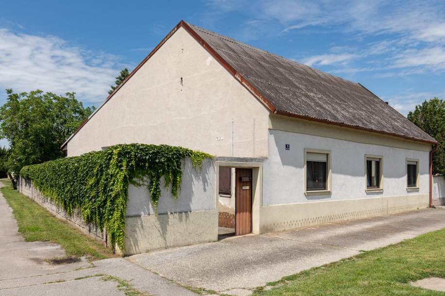 Pannonisches Landhaus mit Stadl, Haus-kauf, 199.000,€, 7143 Neusiedl am See