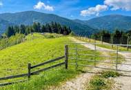 Einzigartige Landwirtschaft inkl. Hofstelle und eigener Quelle, umgeben von 52 ha arrondierter Wald- und Wiesenfläche