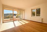 EINE DER SCHÖNSTEN LAGEN WIENS! SALMANNSDORFER ERSTBEZUG MIT 4 ZIMMERN UND GARAGE