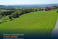 Wohnen am Pöllauberg! Bauplätze in bester Lage mit Aussicht und Lebensqualität!