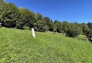 Ihr Logenplatz in der Künstlerstadt Gmünd: Sonniges Baugrundstück in süd-östlicher Ausrichtung