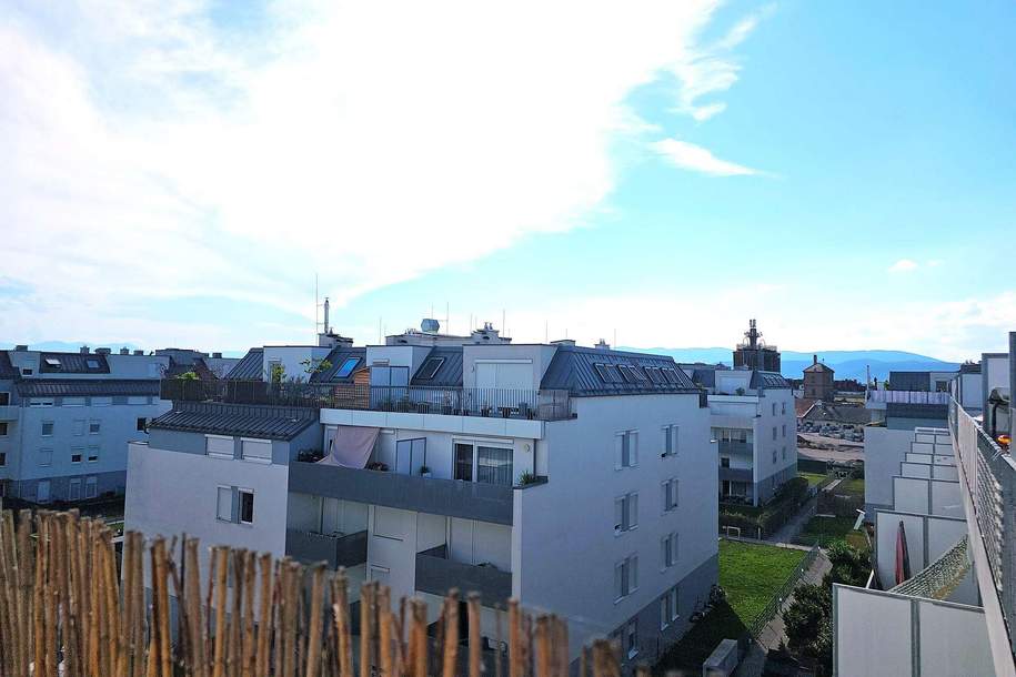 Ruhig, Modern, Jung, Uneinsehbar – riesige Dachterrasse mit 22m² - Tiefgaragenplatz optional!!!, Wohnung-miete, 725,00,€, 2700 Wiener Neustadt(Stadt)