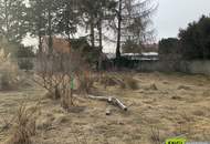 Charmantes Einfamilienhaus mit großem Potenzial in Wiener Neustadt