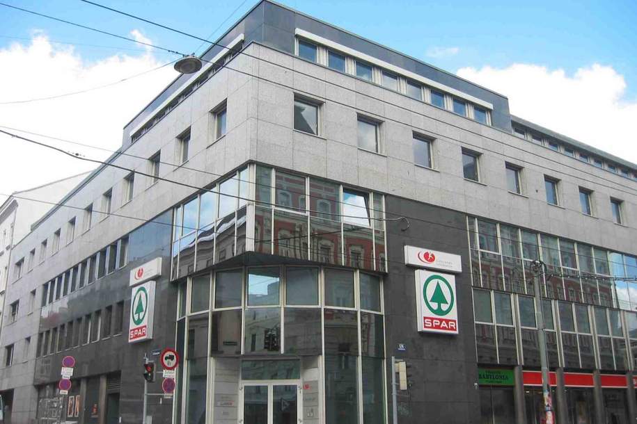 Idealer Grundriss: viele Büros und Besprechungsräume Mariahilfer Straße, Nähe Westbahnhof!, Gewerbeobjekt-miete, 12,00,€, 1150 Wien 15., Rudolfsheim-Fünfhaus