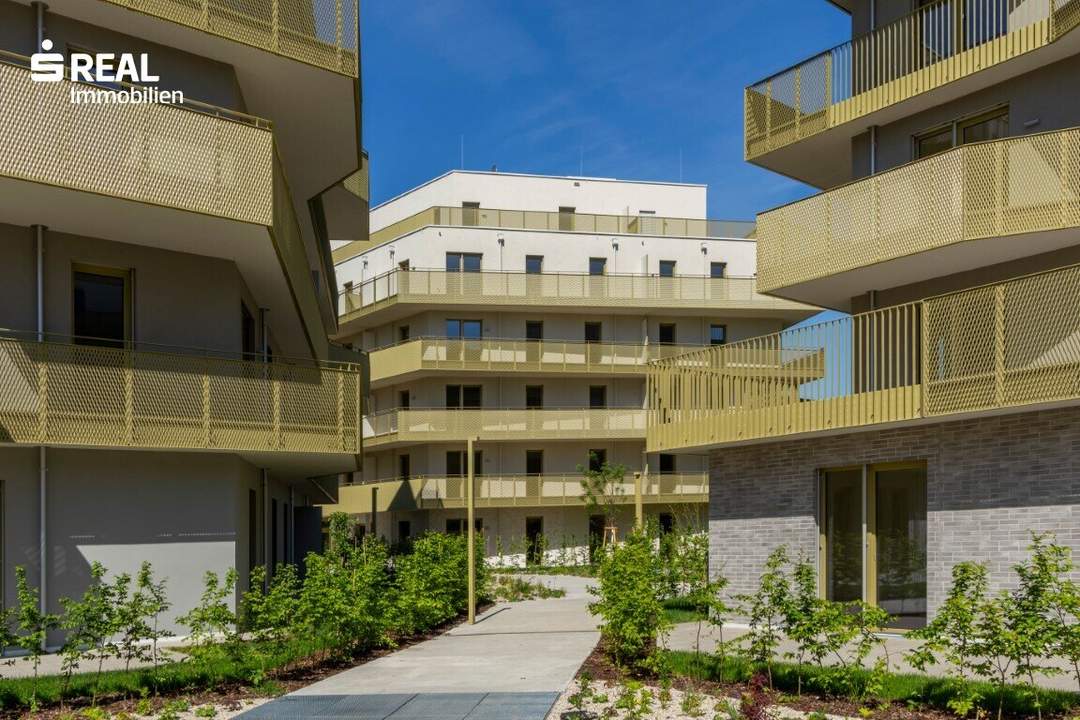 Hirschfeld - Ihr neues Zuhause im Grünen - anfragen, besichtigen, einziehen - 41 bis 96 m²