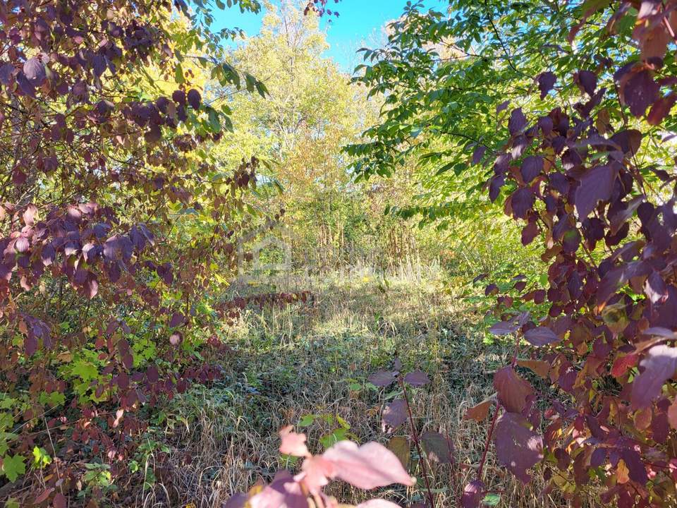 Baugrundstück mit 849 m² in Katzelsdorf – Frohsdorfersiedlung