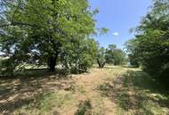 Grundstück mit Altbestand