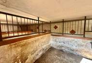 Reiterparadies im Weinviertel – Ihr Traum vom Landleben!