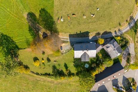 EXKLUSIVES HOLZHAUS MIT SEPARATEM GÄSTECHALET, Haus-kauf, 1.790.000,€, 9571 Feldkirchen