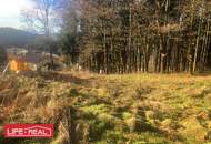 Am Wald grenzendes Baugrundstück