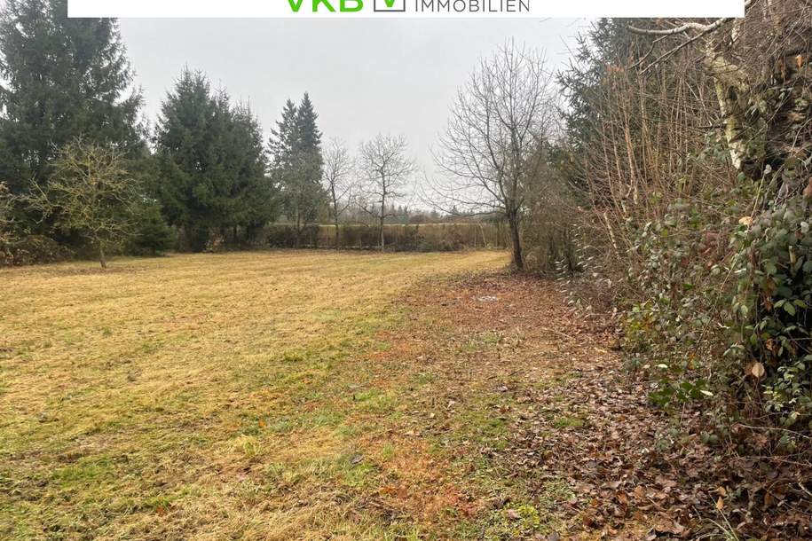 Landschaftliches Baugrundstück in Spattendorf – Gemeinde Alberndorf in der Riedmark, Grund und Boden-kauf, 170.000,€, 4211 Urfahr-Umgebung