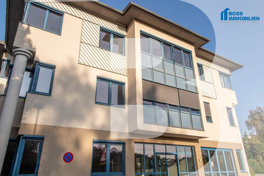 Start-Up geeignet - perfekte Bürofläche, Gewerbeobjekt-miete, 450,00,€, 4600 Wels-Land