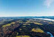 Goldene Felder für Ihre Ernte – Ihre Chance, den Boden zum Leben zu erwecken!