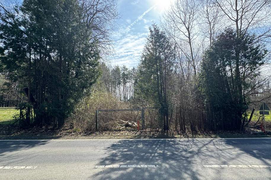 sonniges Grundstück ohne Bauzwang, Grund und Boden-kauf, 40.000,€, 7400 Oberwart