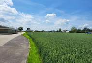 Betriebsbaugrundstücke in Hörsching