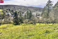 Traumhaftes Hanggrundstück in Kierling, Klosterneuburg – sonnig &amp; ruhig gelegen – Ihr Traum vom Eigenheim beginnt hier!