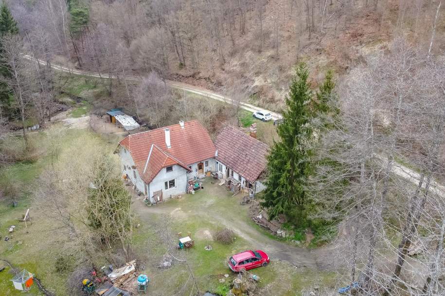!! Neuer Preis !! Ein Rückzugsort mit Seele – Naturidylle trifft auf kreative Entfaltungsmöglichkeiten, Haus-kauf, 256.000,€, 3572 Krems(Land)