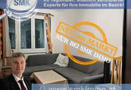 Gemütliche, möblierte Mietwohnung in Grünruhelage!