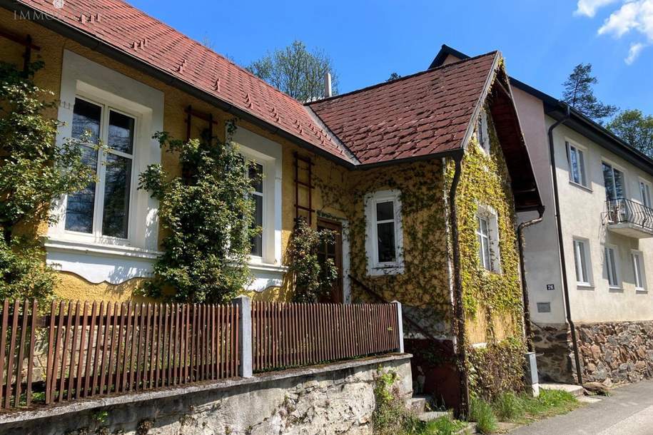 Refugium für Freizeitler und Bastler, Haus-kauf, 55.000,€, 3820 Waidhofen an der Thaya