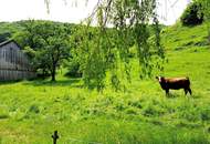 IDYLLISCHER HISTORISCHER EHEMALIGER BAUERNHOF