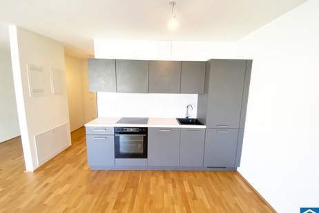 Gemütliche 1-Zimmerwohnung mit Freifläche am Leberberg!, Wohnung-miete, 684,87,€, 1110 Wien 22., Donaustadt