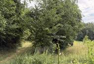 Sacherl in Ruhelage - Ein Platz zum Durchatmen