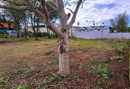 Großer, ebener Baugrund, bebaubar 0,2 - 0,4