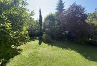 Sanierte großzügige und lichtdurchflutete Bürofläche mit Blick ins Grüne - rd. 174 m2, 5 Zimmer, 2 WCs und rd. 29 m2 klimatisierter Wintergarten in Wien-Liesing