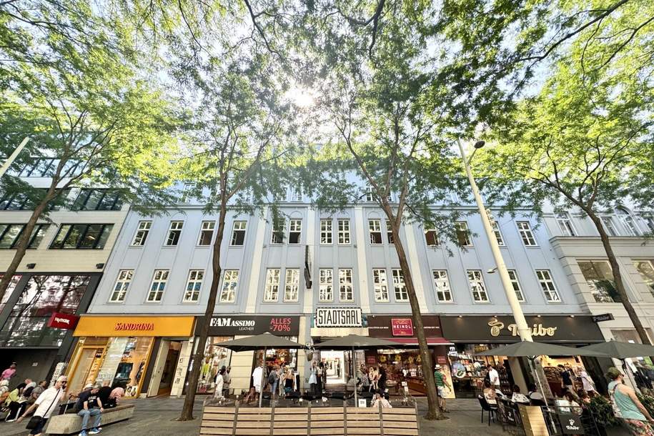 TOLLER BLICK über die MARIAHILFER STRASSE! Helles Büro mit sehr gutem Grundriss im 3. Liftstock, Gewerbeobjekt-miete, 2.295,25,€, 1060 Wien 6., Mariahilf
