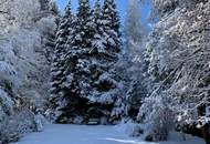 300 Meter von der MITTELSTATION STUHLECK entfernt