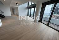 ERSTBEZUG: Attraktive Maisonettewohnung mit viel Platz für Individualität und Ausblick - DANUBEFLATS