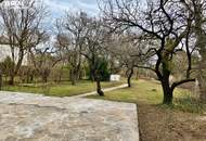 LANDHAUS in TOPLAGE - BURGBLICK