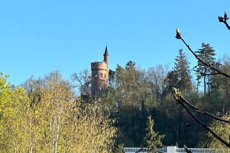 BAUTRÄGERGRUNDSTÜCK in absoluter ZENTRUMSLAGE - REVITALISIERUNG als auch NEUBAU möglich, Grund und Boden-kauf, 1.000.000,€, 4600 Wels(Stadt)