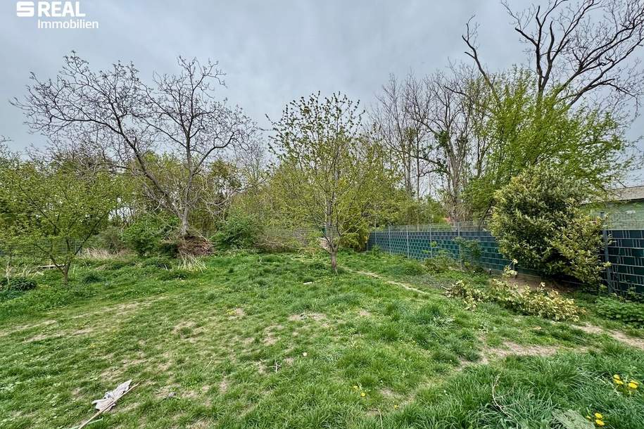 Grundstück in Blumau-Neurißhof - Tolle Gestaltungsmöglichkeiten für Ihr Traumhaus auf 600 m², Grund und Boden-kauf, 210.000,€, 2602 Baden