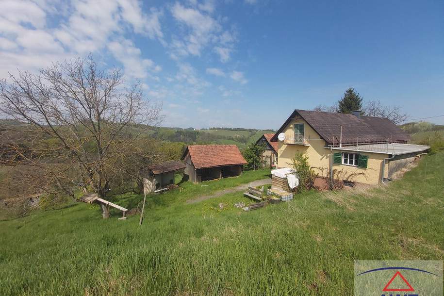 Rarität in der *STEIRISCHEN TOSKANA*, Haus-kauf, 8462 Leibnitz