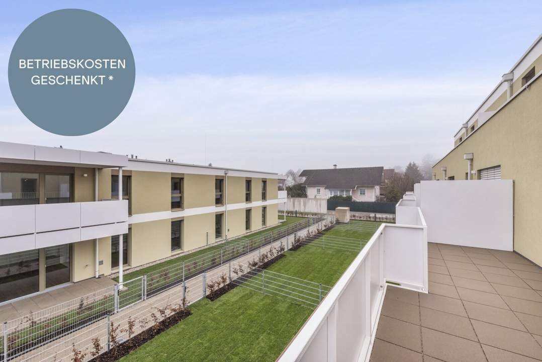 OSTERAKTION! Provisionsfreie 3-Zimmer-Wohnung mit Rundum-Dachterrasse | Zugang von jedem Raum | Großzügig geschnitten