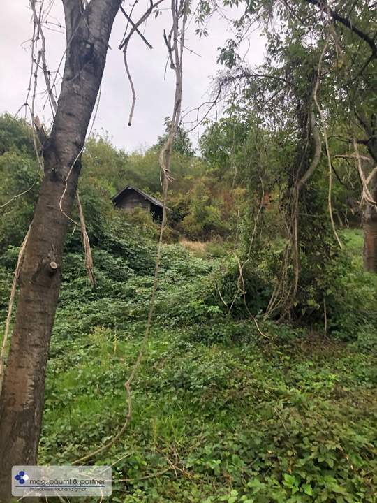 Grund mit Hütte für Ruhe und SEELE