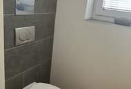 Über Ihnen die Sterne