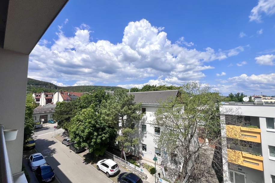 Renovierte 3,5 Zimmer Wohnung im Herzen von Mödling, Wohnung-kauf, 289.500,€, 2340 Mödling